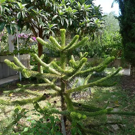 Apartamento Srima